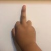 荊棘鳥