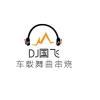 DJ国飞-全极品重低音劲爆中文立体声车载专用串烧大碟