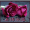 /rose缘/aiq