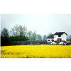 http://qzapp.qlogo.cn/qzapp/101260148/005D2A0F3567B4B95CF649C315047A62/100