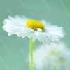 http://qzapp.qlogo.cn/qzapp/101260148/02C535F871C878446EF7CA4E2064DD5B/100