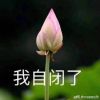 http://qzapp.qlogo.cn/qzapp/101260148/1E557B53B49E7851F6CC22D0AF812039/100