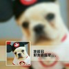 http://qzapp.qlogo.cn/qzapp/101260148/55711227744FC47B195C8A286E20E588/100