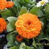 http://qzapp.qlogo.cn/qzapp/101260148/7A798A07D3B2B7A8EB484A124EDB59E1/100