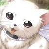http://qzapp.qlogo.cn/qzapp/101260148/7DD65E8648D1A5549D4225802A065B05/100