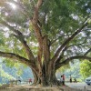 http://qzapp.qlogo.cn/qzapp/101260148/8319FB6CB04EAB448F52EDA202F4F158/100