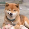 http://qzapp.qlogo.cn/qzapp/101260148/8630333FA5B97AB73B2F3F0BA3CB0C7D/100