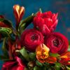 http://qzapp.qlogo.cn/qzapp/101260148/B47321C3BAA288B4924EEE153A4AD189/100