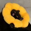 http://qzapp.qlogo.cn/qzapp/101260148/D3C790B68F32DBDD4180F19C1C171169/100