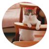 http://qzapp.qlogo.cn/qzapp/101260148/DAAE804D3C73515638D5034DEE1C558D/100