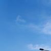 若水相惜的流年