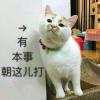 Madam