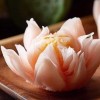 玉蜻蜓