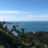 芸华-项目