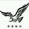 TAO声依旧