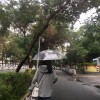烟草味的小男Renつ
