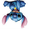Y.PAN