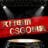 文仔收货wz-csgo