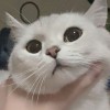 脱缰
