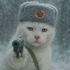 猫懒的玄清