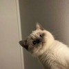 Creep