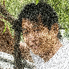 165188128-5DGFFC5