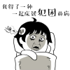 龙飞