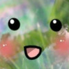 会员名