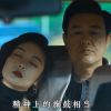 愛尚楓葉/tp