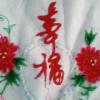 噬血黑客X