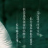 ↘_Prince、