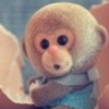 不、言、傷
