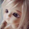 貔貅 (∩_∩)