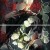 艹、  苣荬茗