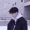 环游虎