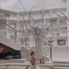 黃石市