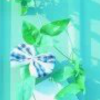 晨夢(mèng)