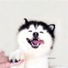 核桃