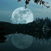 清風(fēng)明月
