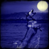 guest11083410
