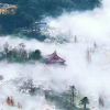  (り开心果