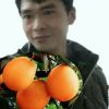 吉子小飛