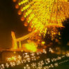 鲻֪һ