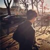 蒲公英の約定