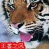 王者之風(fēng)