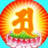 星星点灯
