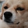 別罵真不會