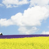 be