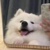 Bѩ