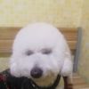 洃冭誏